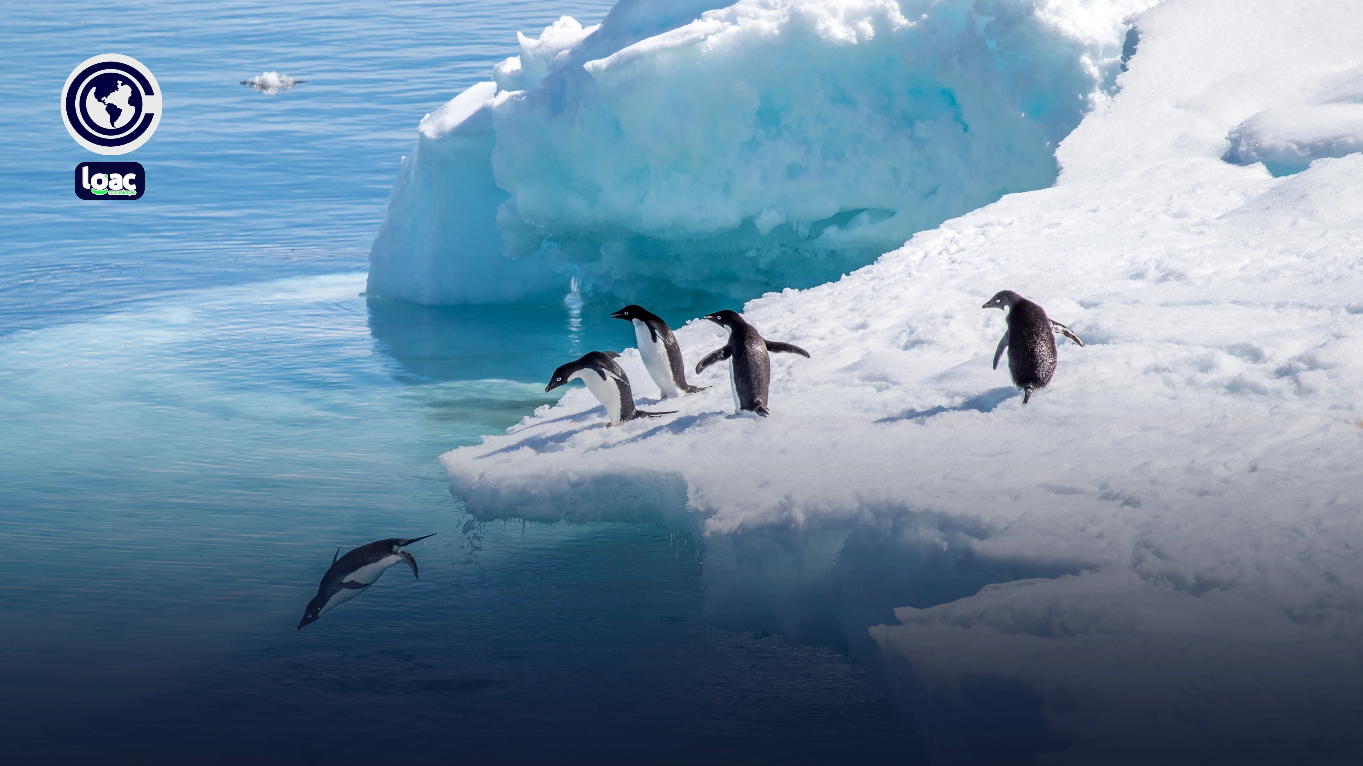 Quem é o dono da Antártica? Entenda como funciona a divisão territorial do continente gelado